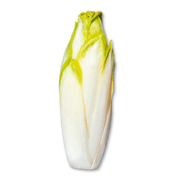 CIKÓRIA  A cikória egy természetes prebiotikum, mely természetes módon támogatja az emésztést és az egészséges bélműködést