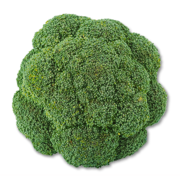 BROKKOLI  A brokkoli egy igazi szuperélelmiszer. Tele van vitaminokkal, rostokkal és káliummal, melyek kulcsfontosságúak a boldog és egészséges kutya életéhez.